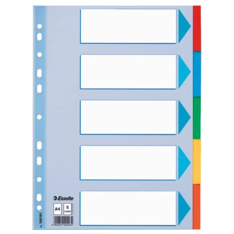 Esselte Karton-Register, blanko, A4, 5-teilig, mehrfarbig (EAN: 5902812001914)