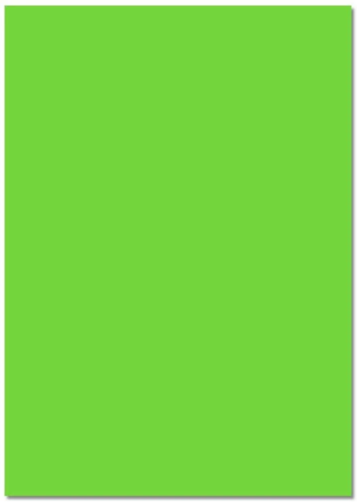 folia Fotokarton, (B)500 x (H)700 mm, 300 g/qm, hellgrün (EAN: 4001868561517)