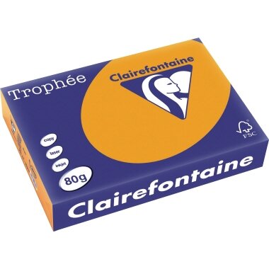 Clairefontaine Multifunktionspapier Trophée, A4, neonorange (EAN: 3329680297805)