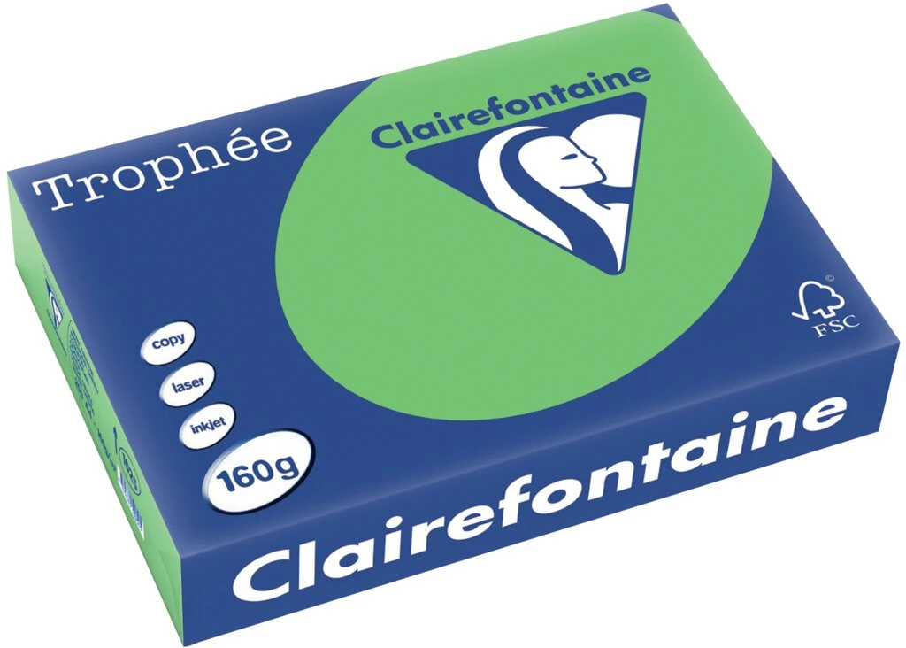 Clairefontaine Multifunktionspapier Trophée, A4, maigrün (EAN: 3329680102505)