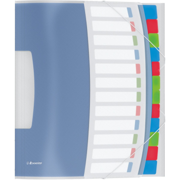 Esselte Ordnungsmappe VIVIDA, A4, PP, 12 Fächer, mehrfarbig (EAN: 4049793028521)