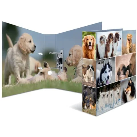HERMA Motivordner "Animals", DIN A4, Hunde (EAN: 4008705071659)