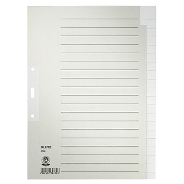 LEITZ Tauenpapier-Register, blanko, A4, 20-teilig, grau (EAN: 4002432328796)