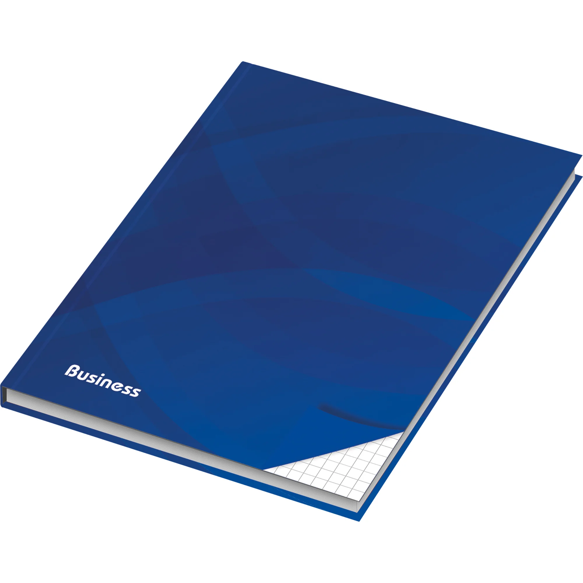 RNK Verlag Notizbuch "Business blau", DIN A5, kariert (EAN: 4002871464680)