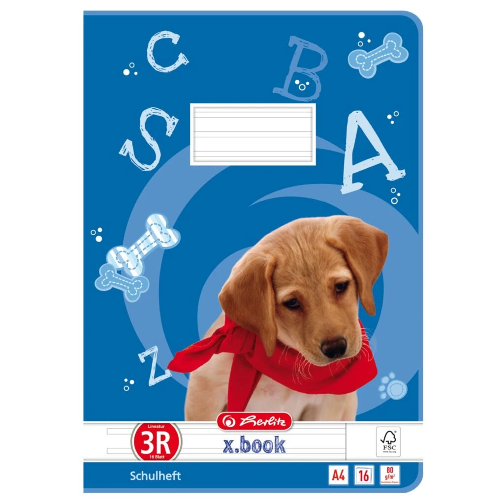 herlitz Schulheft x.book, DIN A4, Lineatur 3 / liniert (EAN: 4008110481388)