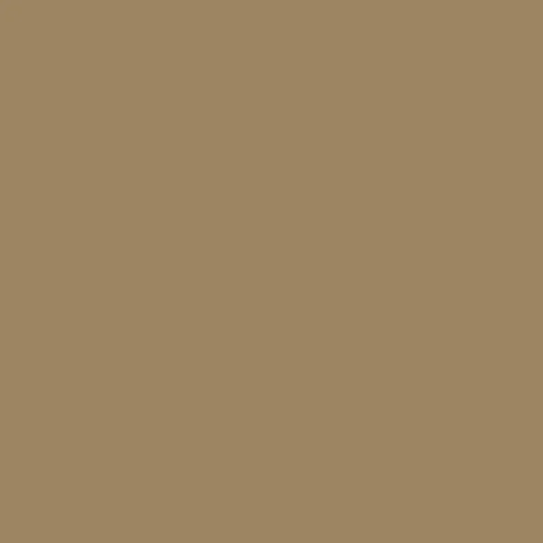 folia Tonpapier, (B)500 x (H)700 mm, 130 g/qm, rehbraun (EAN: 4001868067750)