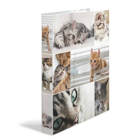 HERMA Ringbuch "Katzen", DIN A4, 4-Ring-Mechanik (EAN: 4008705193597)
