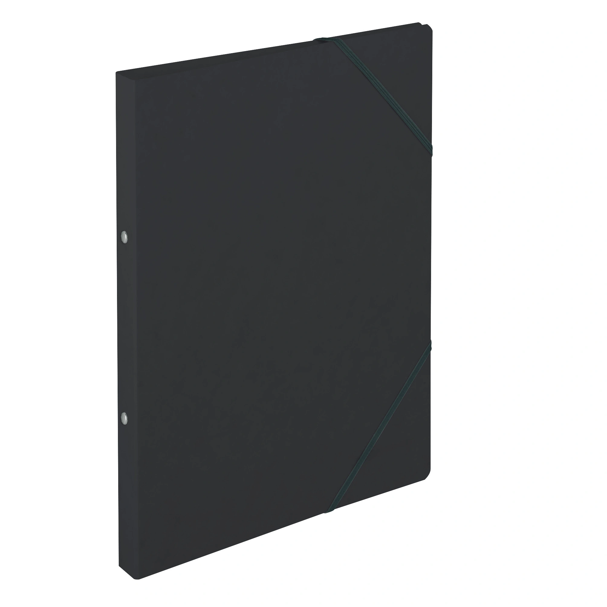 herlitz Ringhefter easyorga, A4, Karton, schwarz (EAN: 4008110450773)