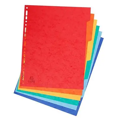 EXACOMPTA Karton-Register, DIN A4, 10-teilig (EAN: 3130630014102)