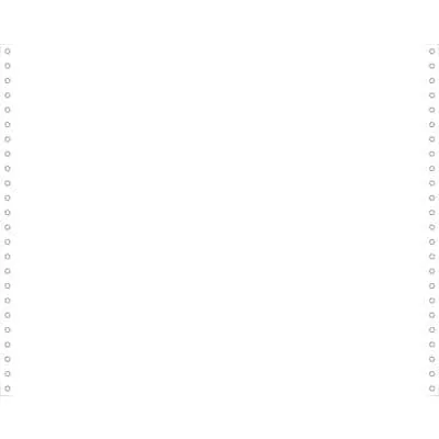 EXACOMPTA Computerpapier endlos, 380 mm x 12" (30,48 cm) (EAN: 3130630664215)