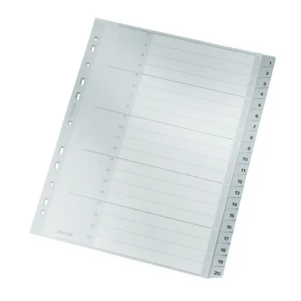 LEITZ Kunststoff-Register, Zahlen, A4 Überbreite, 1-20, grau (EAN: 4002432334957)