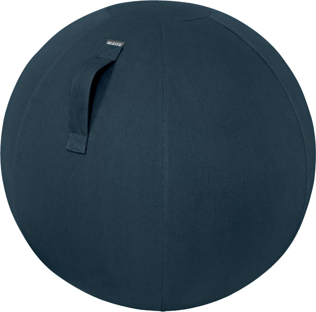 LEITZ Sitzball Ergo Cosy, Durchmesser: 650 mm, grau (EAN: 4002432129546)