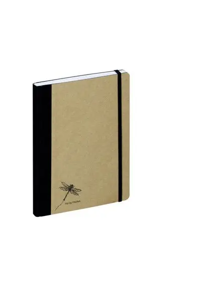 PAGNA Notizbuch "Pur", DIN A5, kariert, natur (EAN: 4009212056368)
