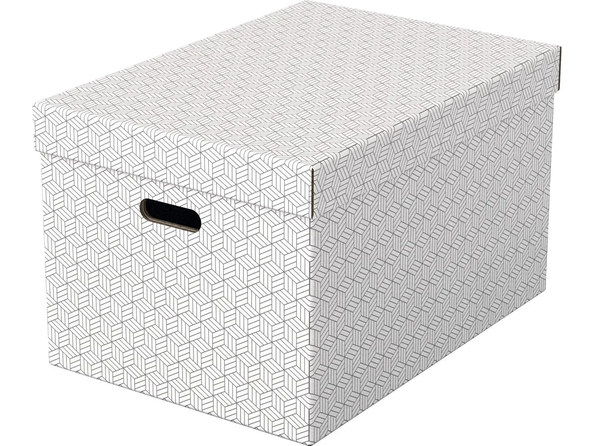 Esselte Aufbewahrungsbox Home L, 3er Set, weiß (EAN: 4049793072319)