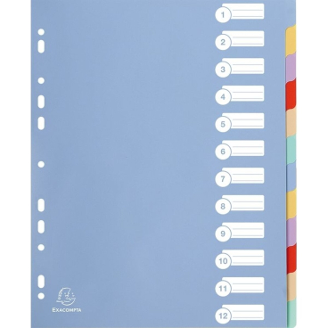 EXACOMPTA Kunststoff-Register, blanko, A4 Überbreite, 12- (EAN: 3130630048121)