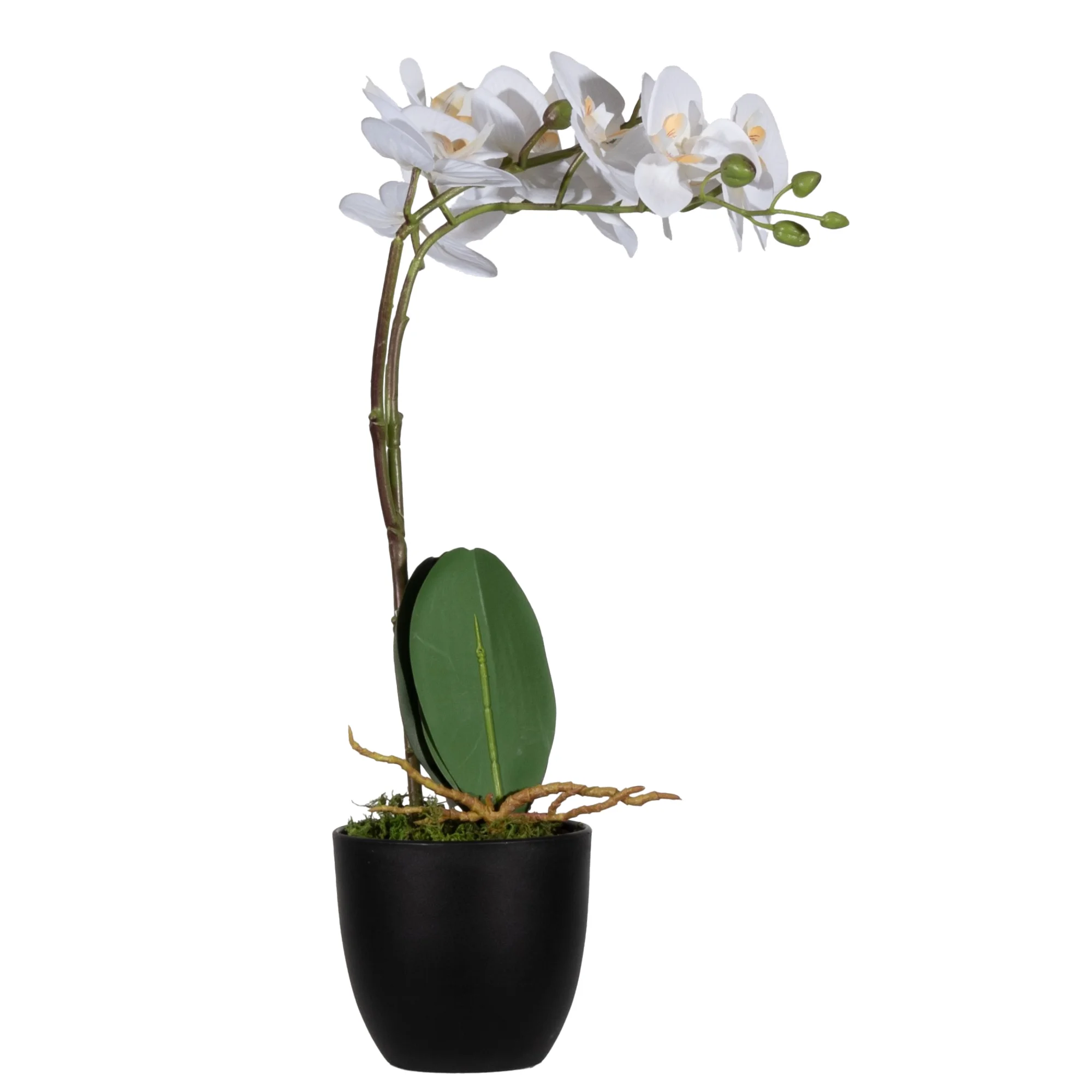 PAPERFLOW Kunstpflanze "Orchidee", weiß, Höhe: 400 mm (EAN: 3660141963427)
