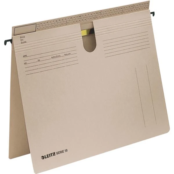 LEITZ SERIE 18 Hängehefter, Manilakarton 250 g/qm, grau (EAN: 4002432303106)