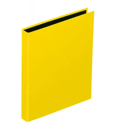 PAGNA Ringbuch "Basic Colours", 2 Bügel-Mechanik, gelb (EAN: 4009212314024)