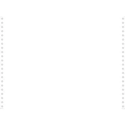 EXACOMPTA Computerpapier endlos, 27,94 cm (11") x 380 mm, weiß (EAN: 3130630664116)