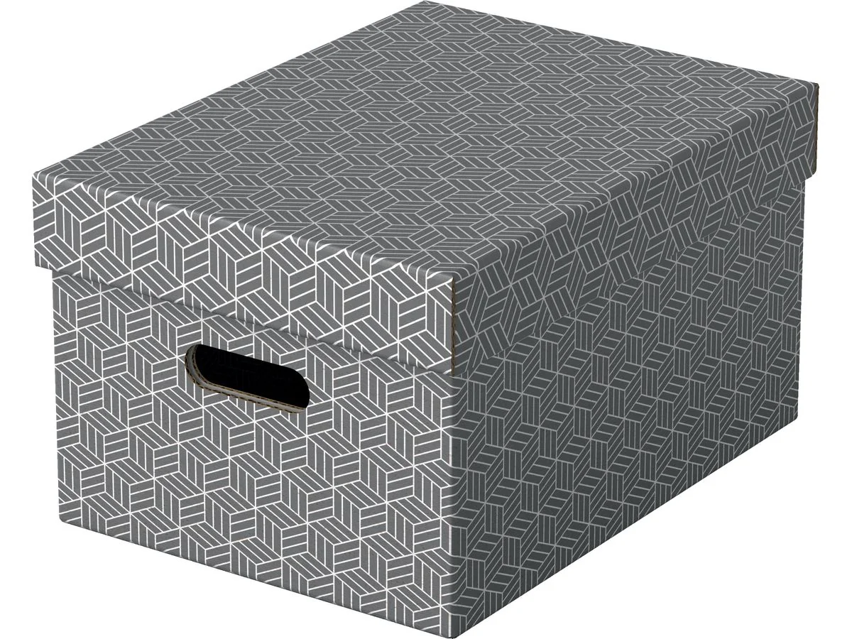 Esselte Aufbewahrungsbox Home M, 3er Set, grau (EAN: 4049793072289)