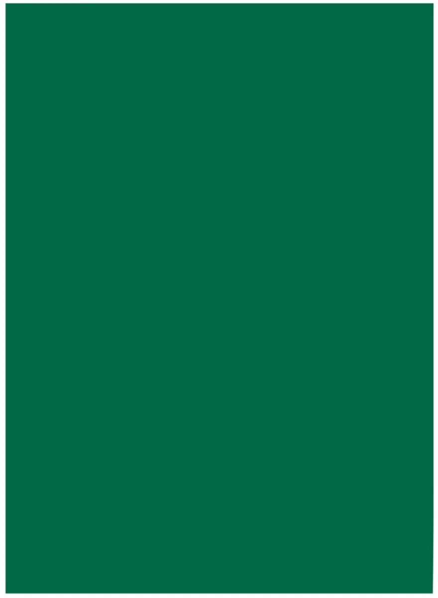folia Tonkarton, (B)500 x (H)700 mm, 220 g/qm, tannengrün (EAN: 4001868618587)