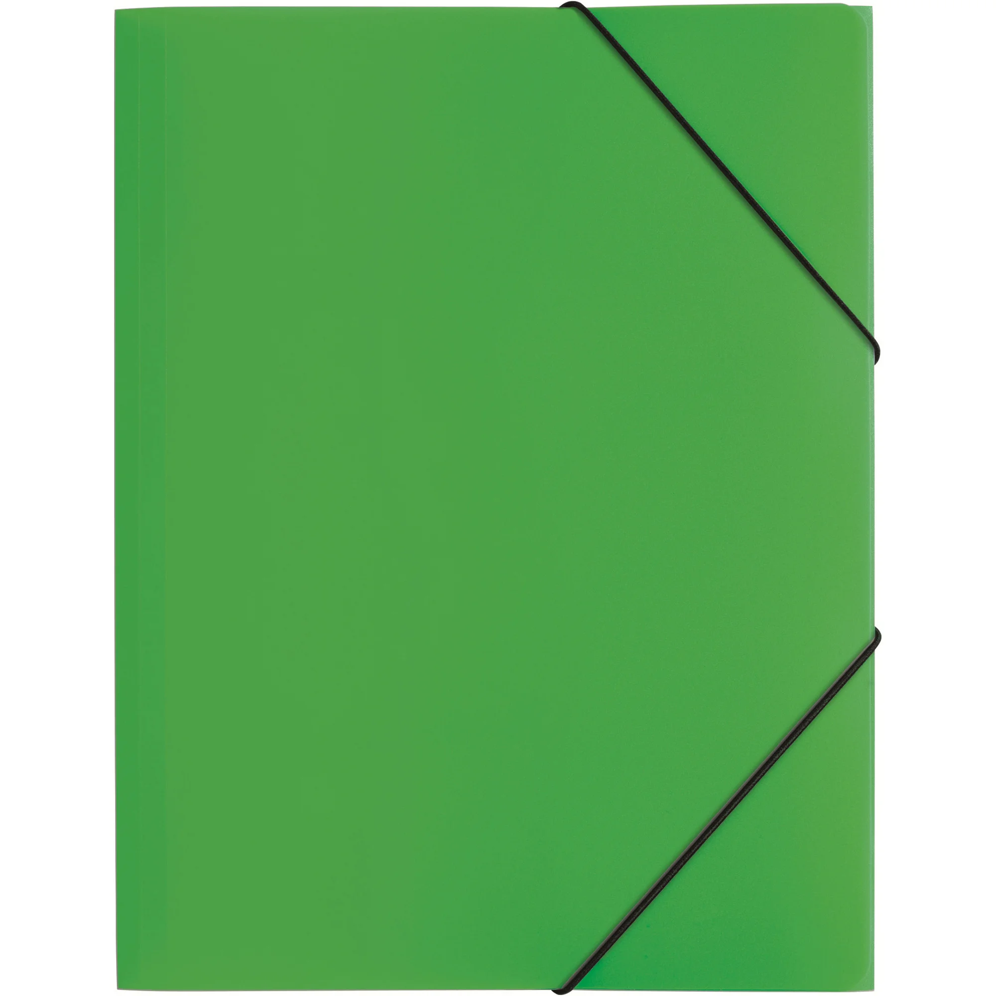 PAGNA Eckspannermappe "Trend Colours", DIN A4, grün (EAN: 4009212048813)