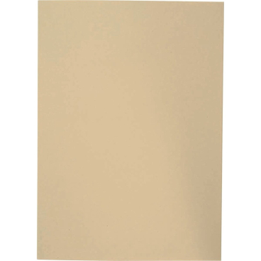 ELBA Aktendeckel, DIN A4, Manilakarton, ohne Druck, chamois (EAN: 4002030050761)