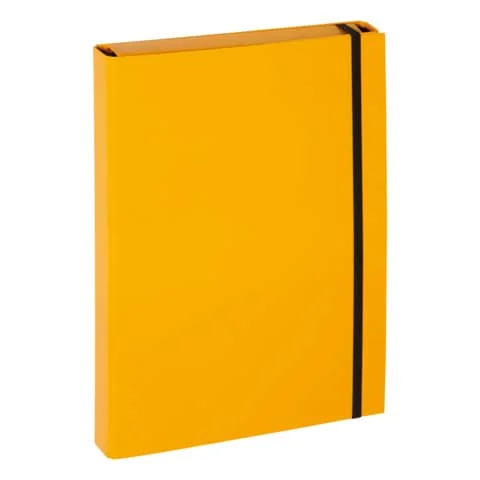 PAGNA Heftbox "Basic Colours", DIN A4, gelb (EAN: 4009212000163)