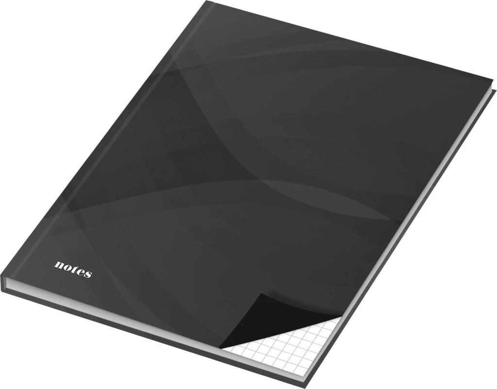 RNK Verlag Notizbuch "notes carbon black", DIN A4, kariert (EAN: 4002871465144)