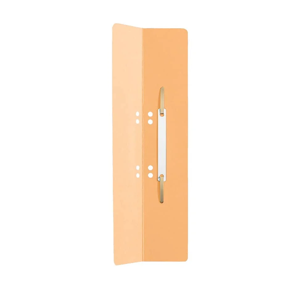LEITZ Heftrücken, 60 x 305 mm, Manilakarton, chamois (EAN: 4002432306671)