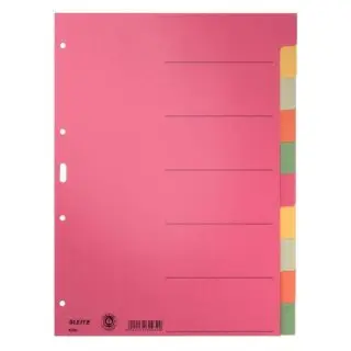 LEITZ Karton-Register extrastark, blanko, A4, 10-teilig (EAN: 4002432319114)