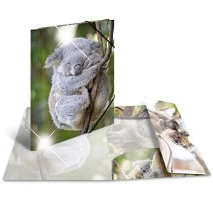 HERMA Eckspannermappe "Koala", PP Glossy, DIN A4 (EAN: 4008705193238)