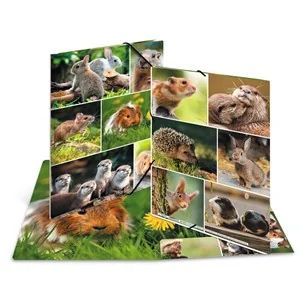 HERMA Eckspannermappe "Nagetiere", Karton, DIN A4 (EAN: 4008705193436)