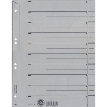 LEITZ Trennblätter, A4, Kraftkarton 200 g/qm, grau (EAN: 4002432328802)