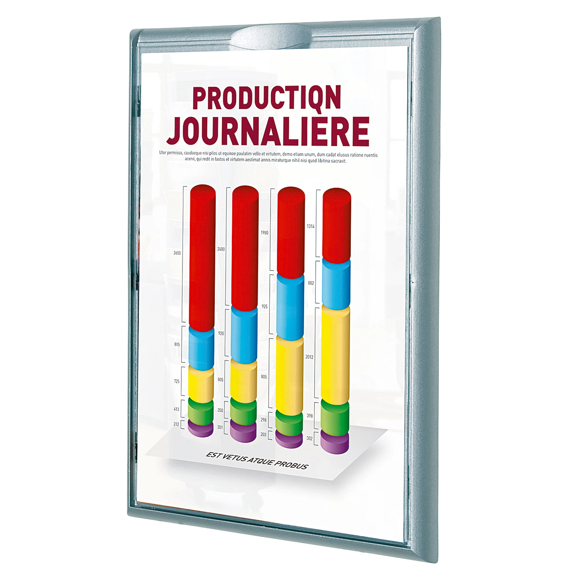 PAPERFLOW Wandschild Info Display, DIN A4, Farbe: alu-grau (EAN: 3660141880038)
