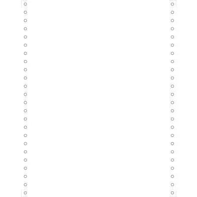 EXACOMPTA Computerpapier endlos, 240 mm x 12" (30,48 cm) (EAN: 3130630654216)