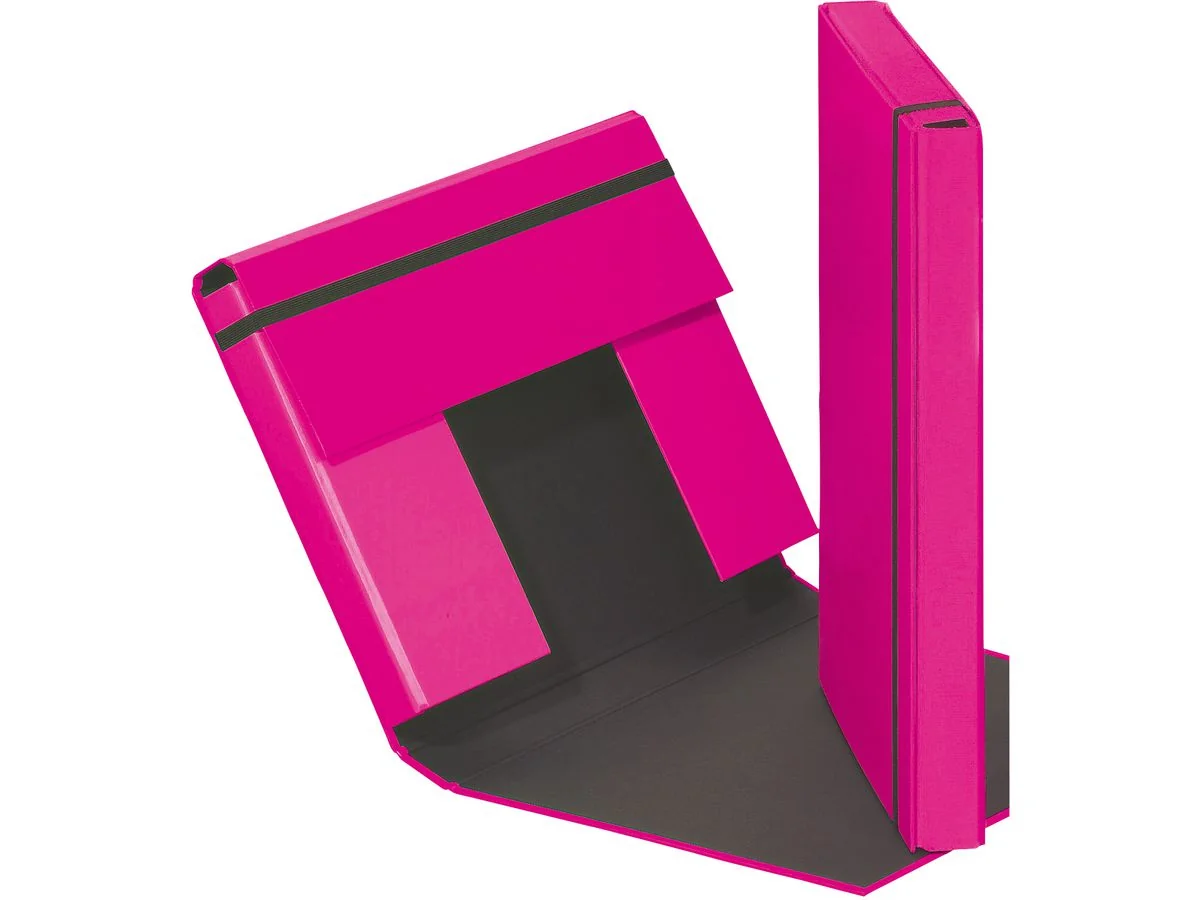 PAGNA Heftbox "Trend Colours", DIN A4, dunkelrosa (EAN: 4009212029973)