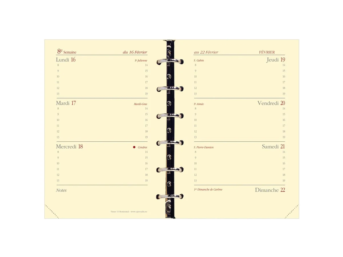 QUO VADIS Nachfüllung für Terminkalender Timer 14 Horizontal (EAN: 3371010119202)