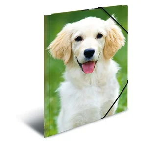 HERMA Eckspannermappe "Hunde", aus PP, DIN A4 (EAN: 4008705071390)