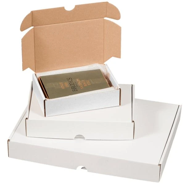 SMARTBOXPRO Maxibriefkarton, (B)241 x (T)160 x (H)48 mm (EAN: 4250414138547)