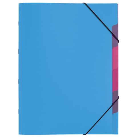 PAGNA Ordnungsmappe "Funky School", DIN A4, PP, 5 Fächer (EAN: 4009212041784)