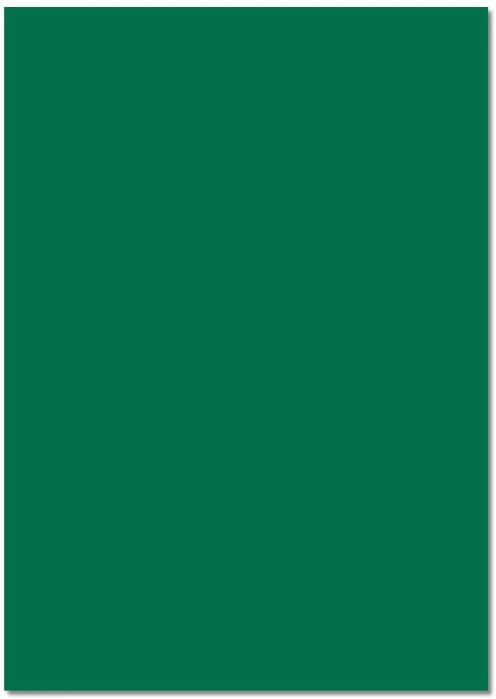 folia Fotokarton, (B)500 x (H)700 mm, 300 g/qm, tannengrün (EAN: 4001868561586)