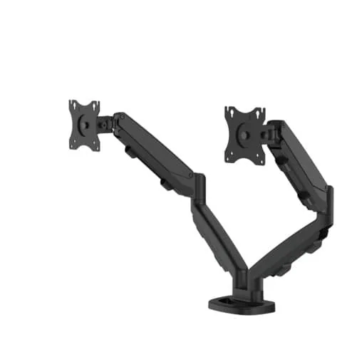 Fellowes Doppel-Monitorarm Eppa, schwarz (EAN: 0043859749331)