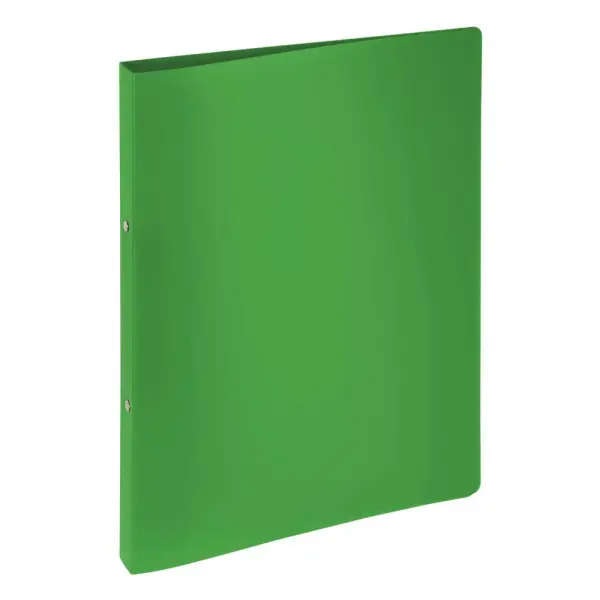 PAGNA Ringbuch, DIN A4, Rückenbreite: 25 mm, grün (EAN: 4009212049223)