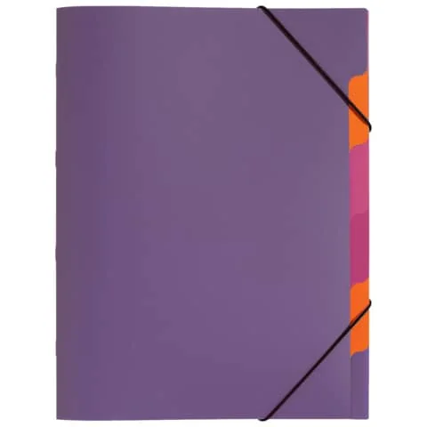 PAGNA Ordnungsmappe "Funky School", DIN A4, PP, 5 Fächer, transluzent-lila (EAN: 4009212041760)