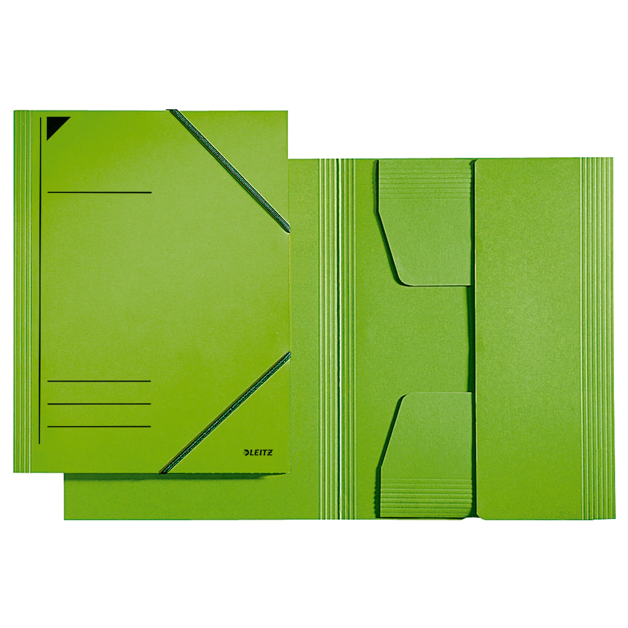 LEITZ Eckspannermappe, DIN A4, Karton 320 g/qm, grün (EAN: 4002432329793)