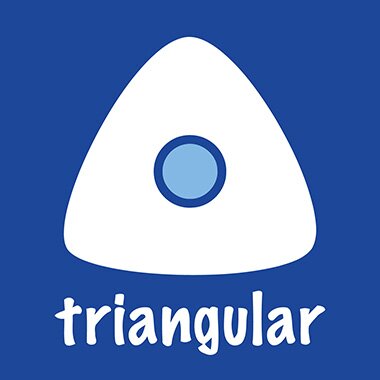 STAEDTLER Fineliner triplus, 12er Dreikantbox (EAN: 4007817333372)