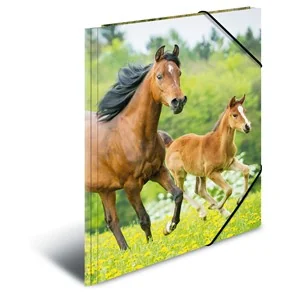 HERMA Eckspannermappe "Pferde", aus PP, DIN A4 (EAN: 4008705071406)