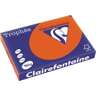 Clairefontaine Multifunktionspapier, DIN A3, ziegelrot (EAN: 3329680103106)