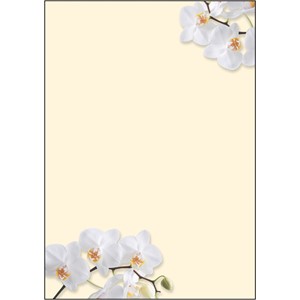 sigel Design-Papier, DIN A4, 90 g/qm, Motiv "White Orchid" (EAN: 4004360880964)
